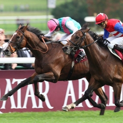 Pferderennen : Qatar Prix de L'Arc de Triomphe 